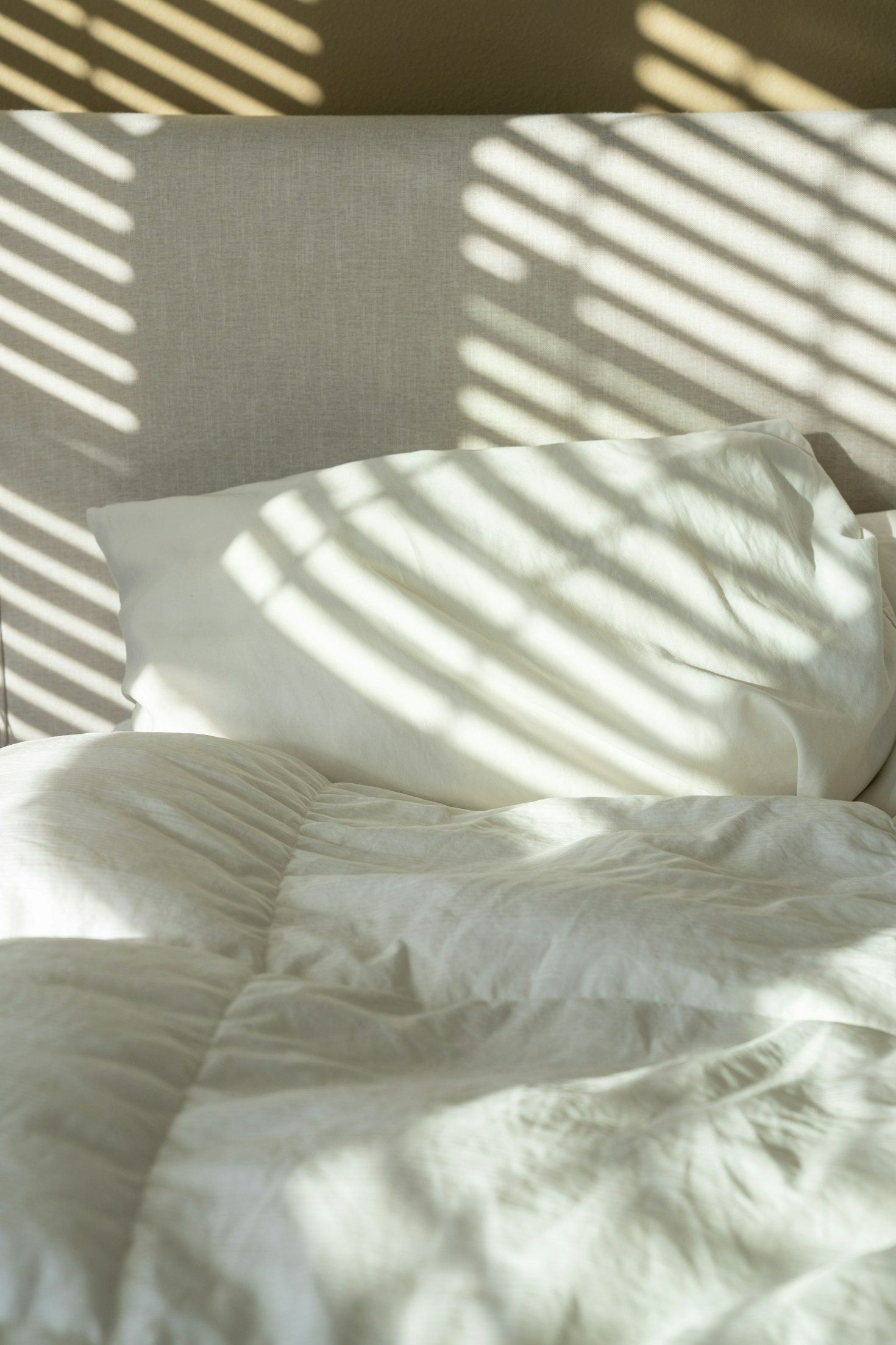 The Science of Cozy: Why Quality Blankets Matter